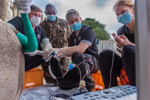 Oocyte collection on March 28, 2021, in Kenya (Photo: Rio the Photographer)