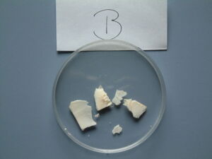 Analysis of bone fragments from a suspected case of poaching (here: red deer Cervus elaphus) (Kopie)