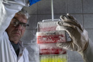 Cryostorage of biomaterial at the Leibniz-IZW (photo by Jon A. Juarez)