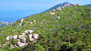 Landscape of the Rui Chua National Park in Viet Nam (photo by Andrew Tilker) Landscape of the Rui Chua National Park in Viet Nam (photo by Andrew Tilker)