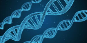 DNA, Author: pixabay.com