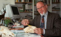 Prof Hofmann during his time as director of the Leibniz-IZW in 1996 (photo: picture-alliance/dpa | Klaus Franke)