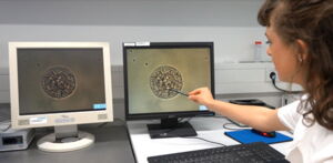 Shauna Kehoe with an Follicle, Foto: Leibniz-IZW